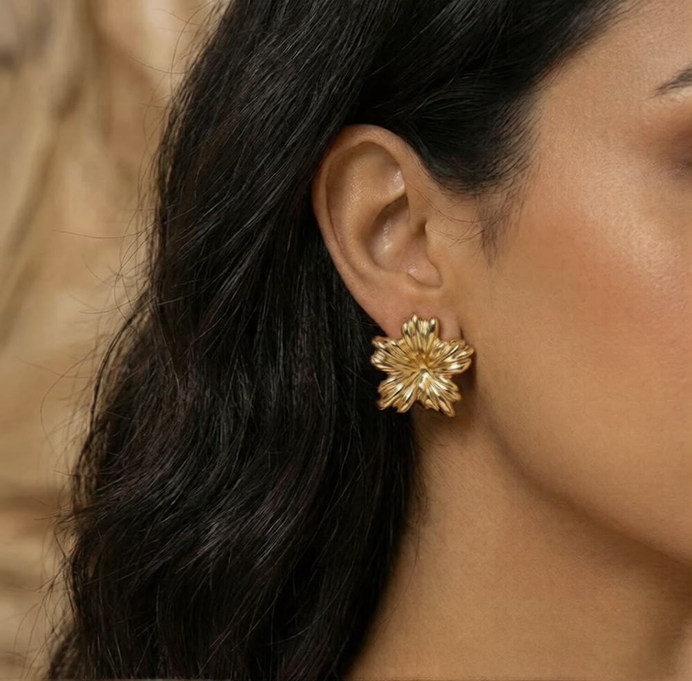 Boucles Najm