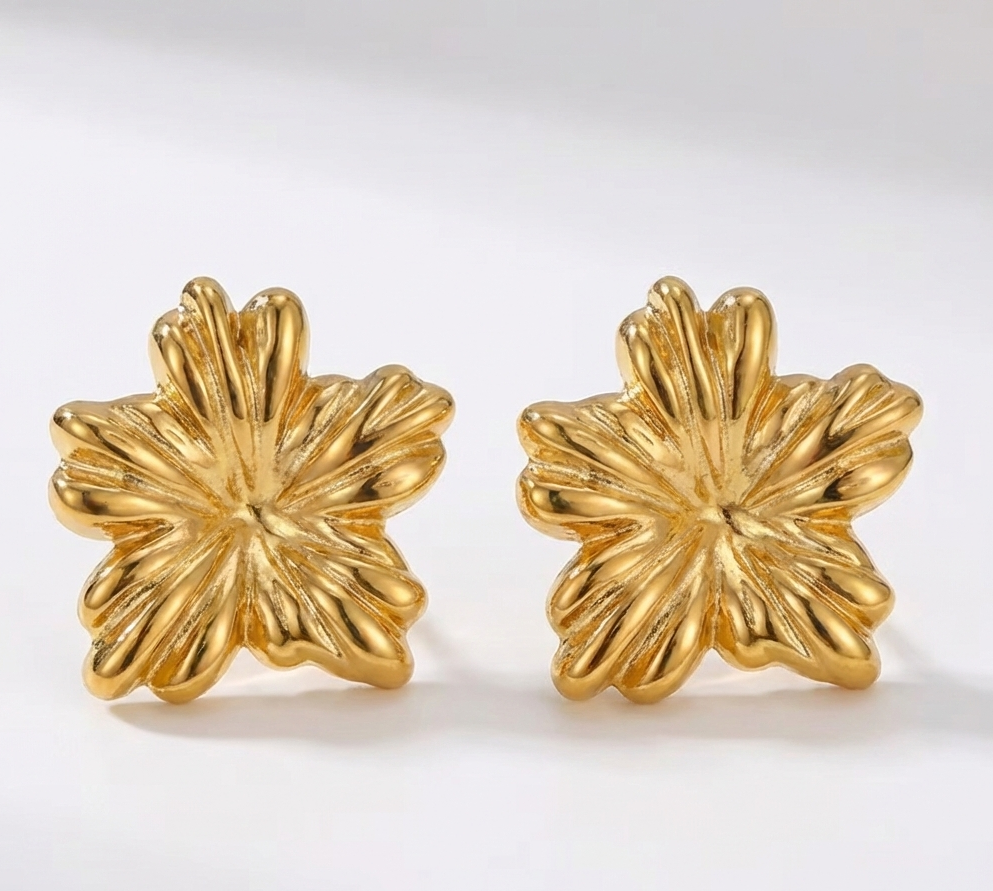 Boucles Najm