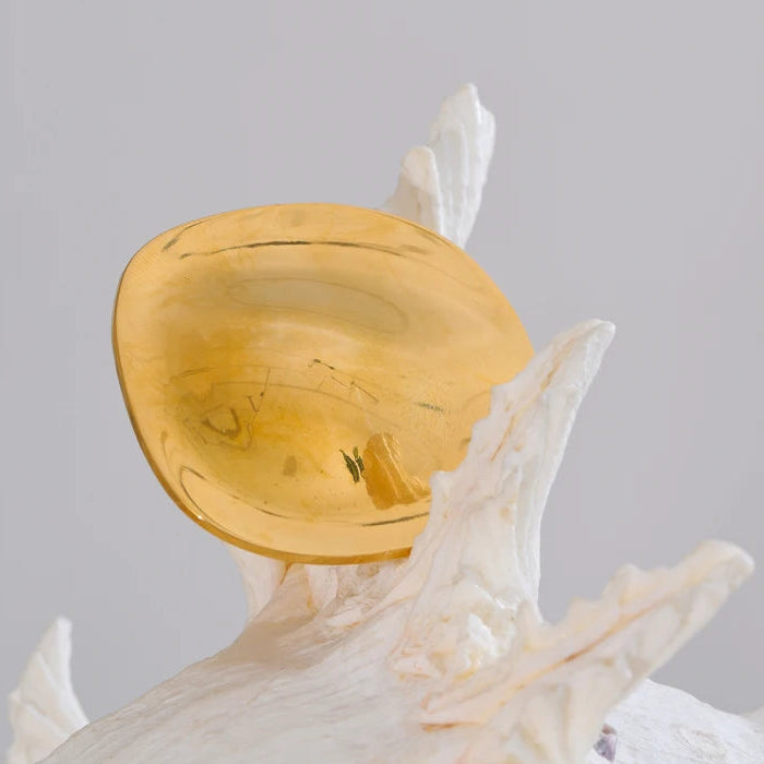 Broche Shell