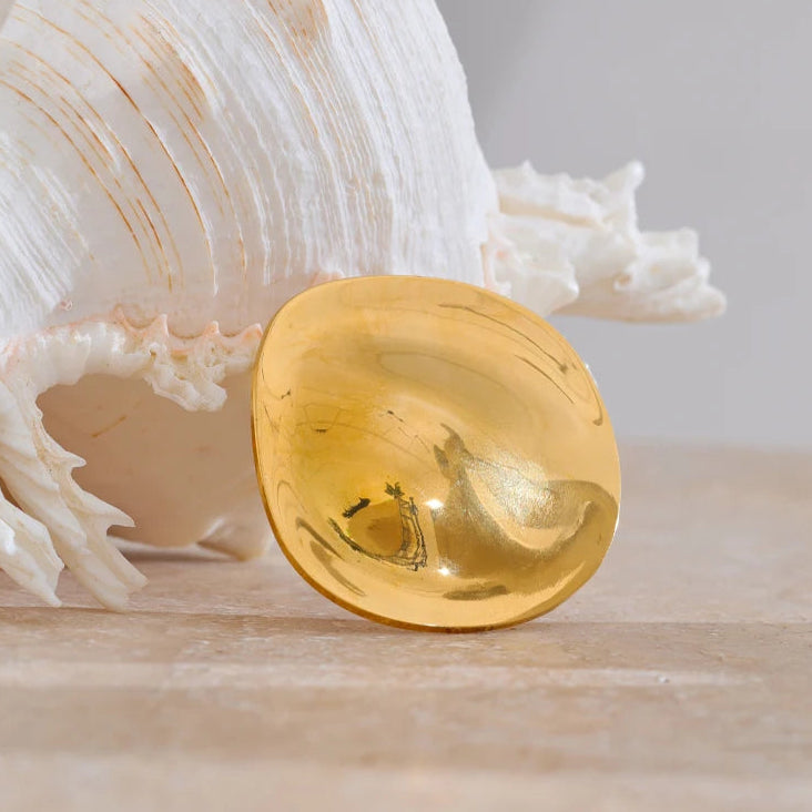 Broche Shell