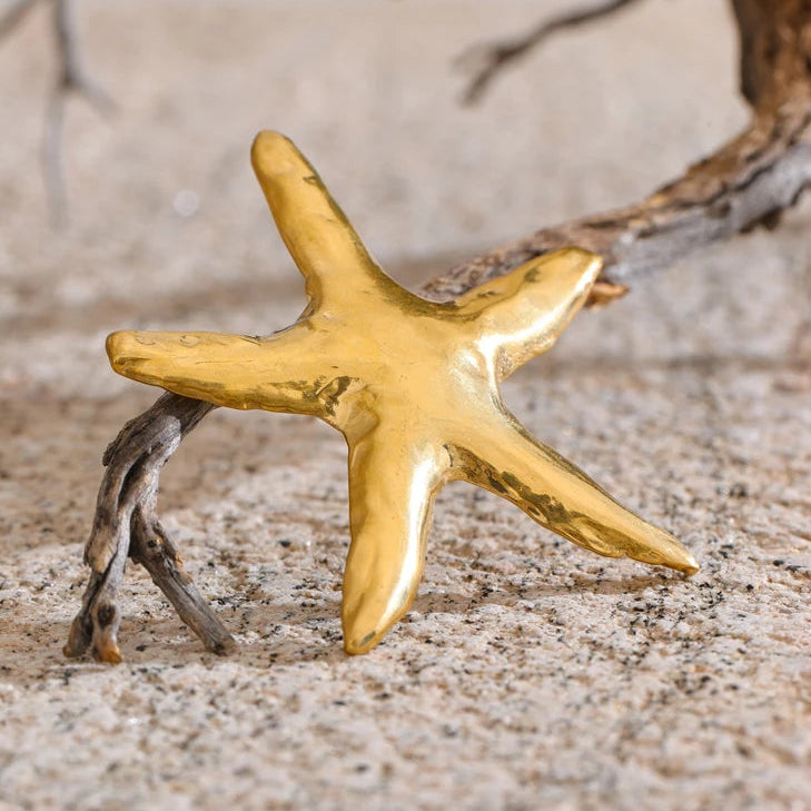 Broche Astra