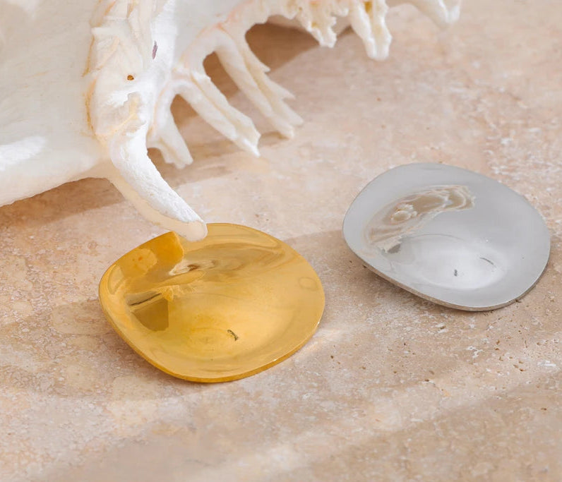 Broche Shell